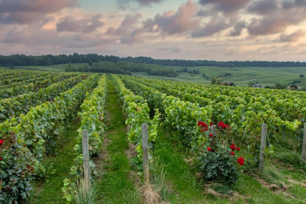 Maison De Champagne F.Barbier ! Avize Bagian luar foto