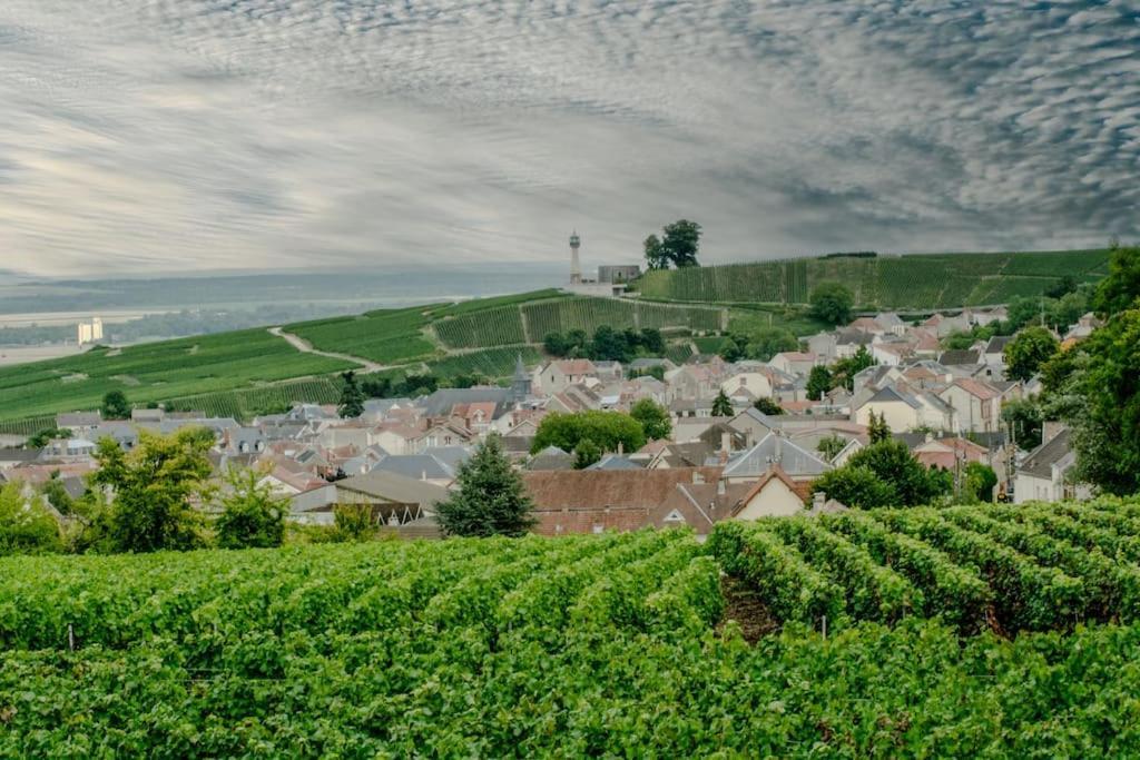 Maison De Champagne F.Barbier ! Avize Bagian luar foto
